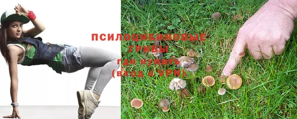ГАЛЛЮЦИНОГЕННЫЕ ГРИБЫ Балахна