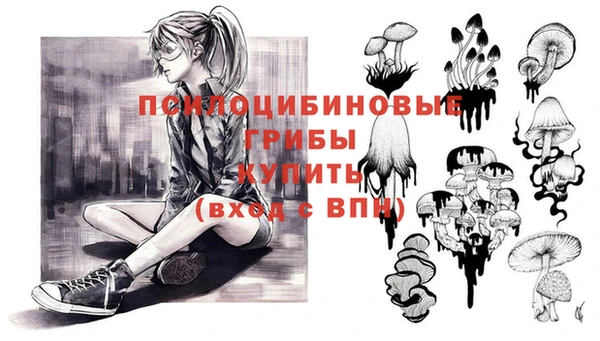 спайс Баксан