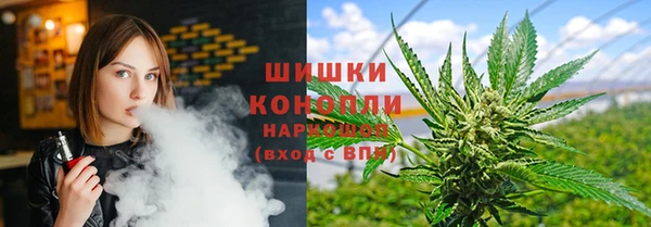 ГАЛЛЮЦИНОГЕННЫЕ ГРИБЫ Балахна