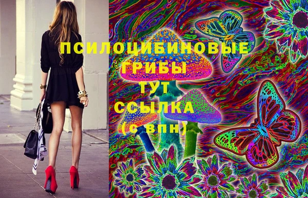 ГАЛЛЮЦИНОГЕННЫЕ ГРИБЫ Балахна