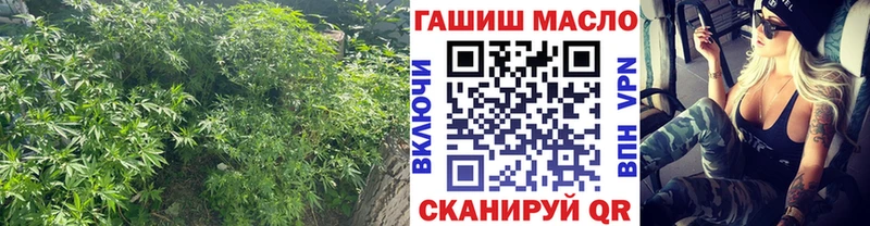 Дистиллят ТГК жижа мега ссылка Льгов