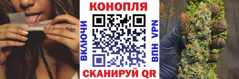 Конопля MAZAR Льгов